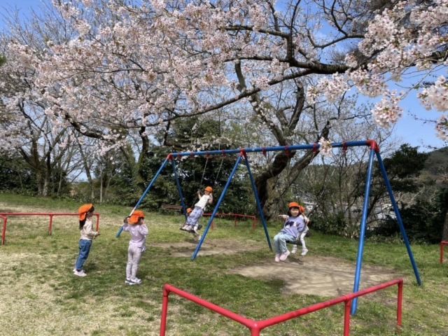 お花見に行ってきました。（年長組）